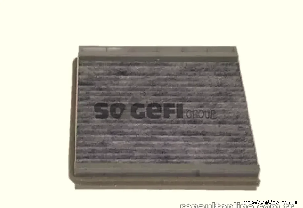 AKTIF KARBONLU POLEN FILTRESI SCENIC II SCENIC RX4 (99 03) (OE) - Purflux - PURFLUX AHC169